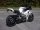 Bodis Slip-On GPX2 Edelstahl für Honda CBR1000 RR SC59 (08-)